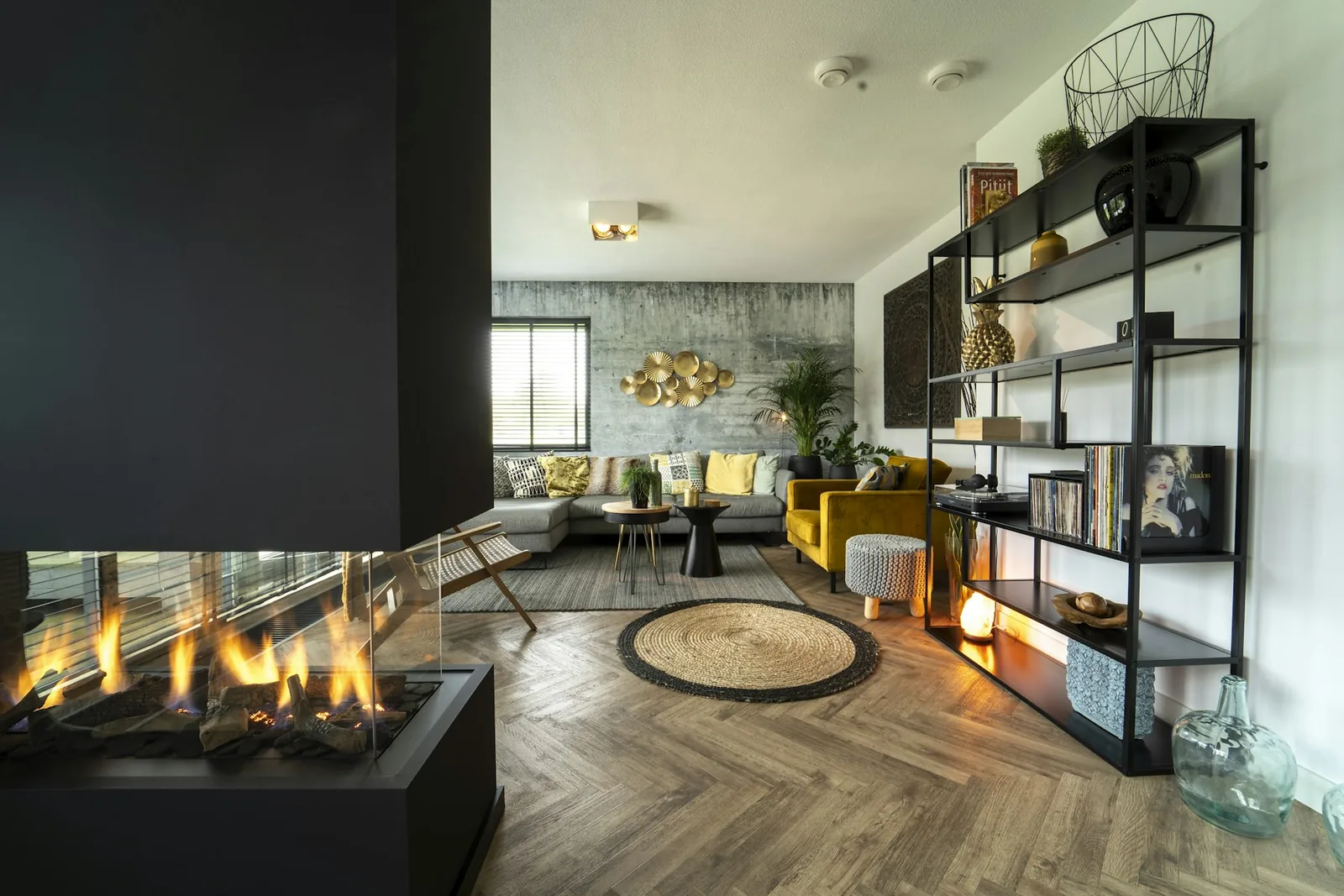 Modern see-through gas fireplace with glass sides in a bright open living room